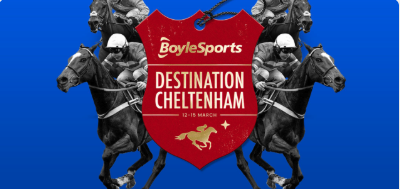 Boylesports Cheltenham Hub example